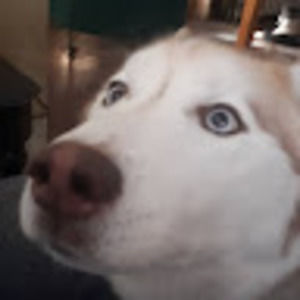 Meet your Posher, Tia